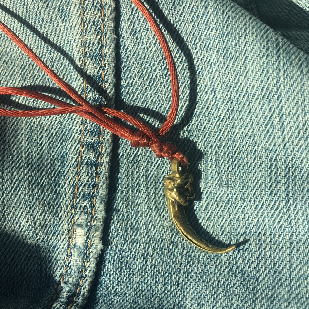 Bronze talon pendant